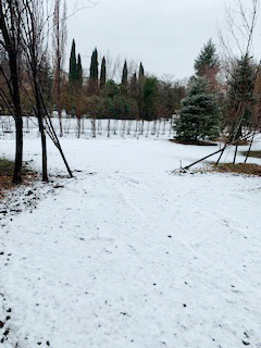 雪景色