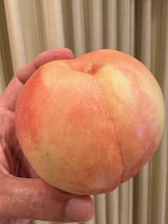 桃